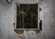 White Wooden Framed Glass Window