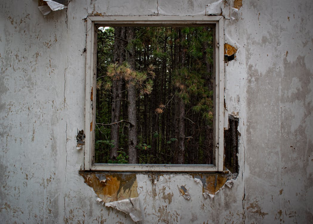 Free White Wooden Framed Glass Window Stock Photo