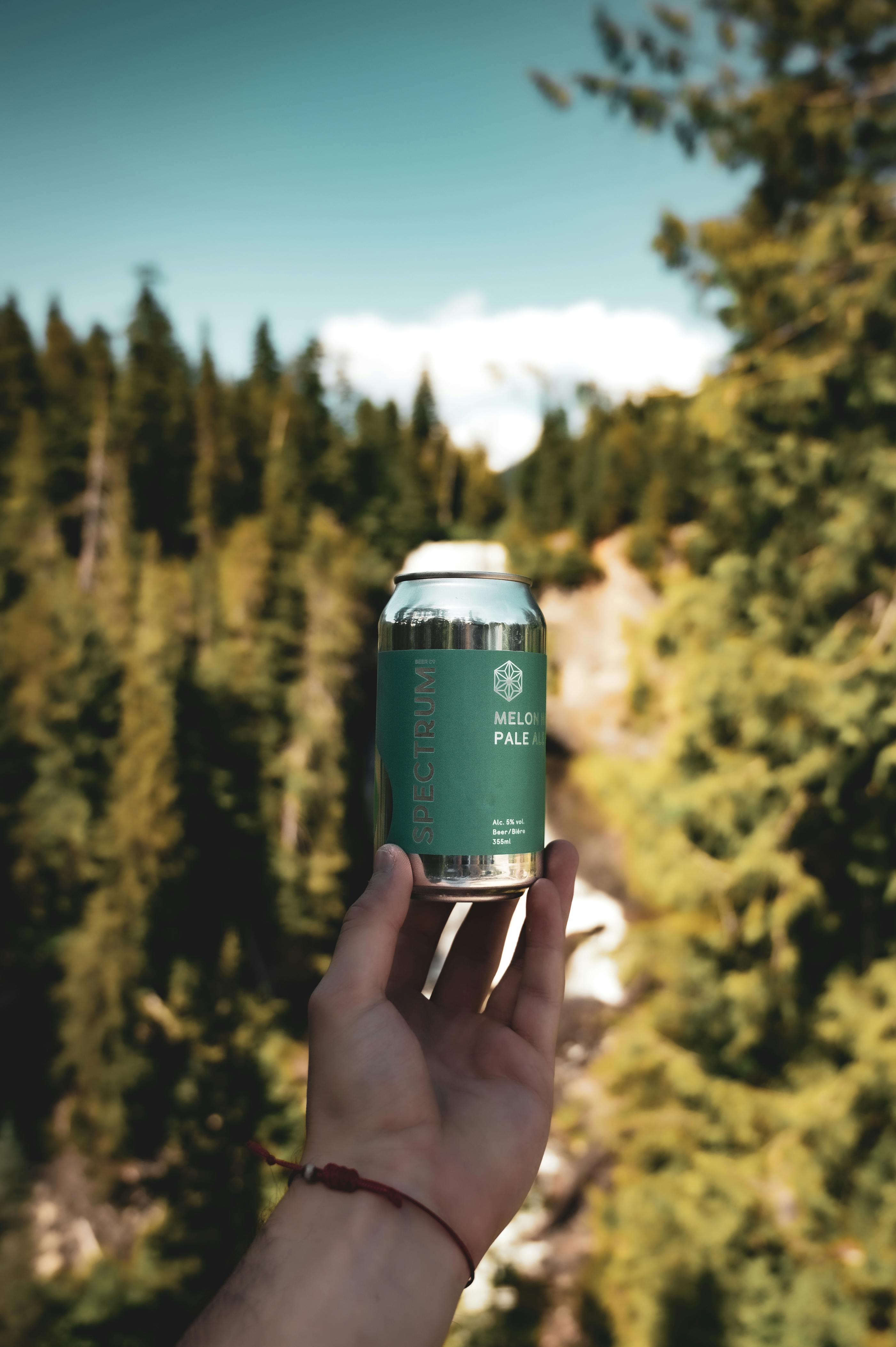 Can I cut council trees overhanging my property?