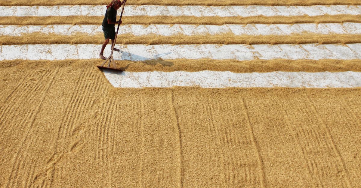 Man Raking Sand ยท Free Stock Photo