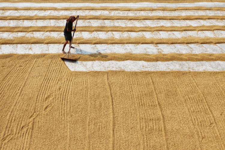 Man Raking Sand