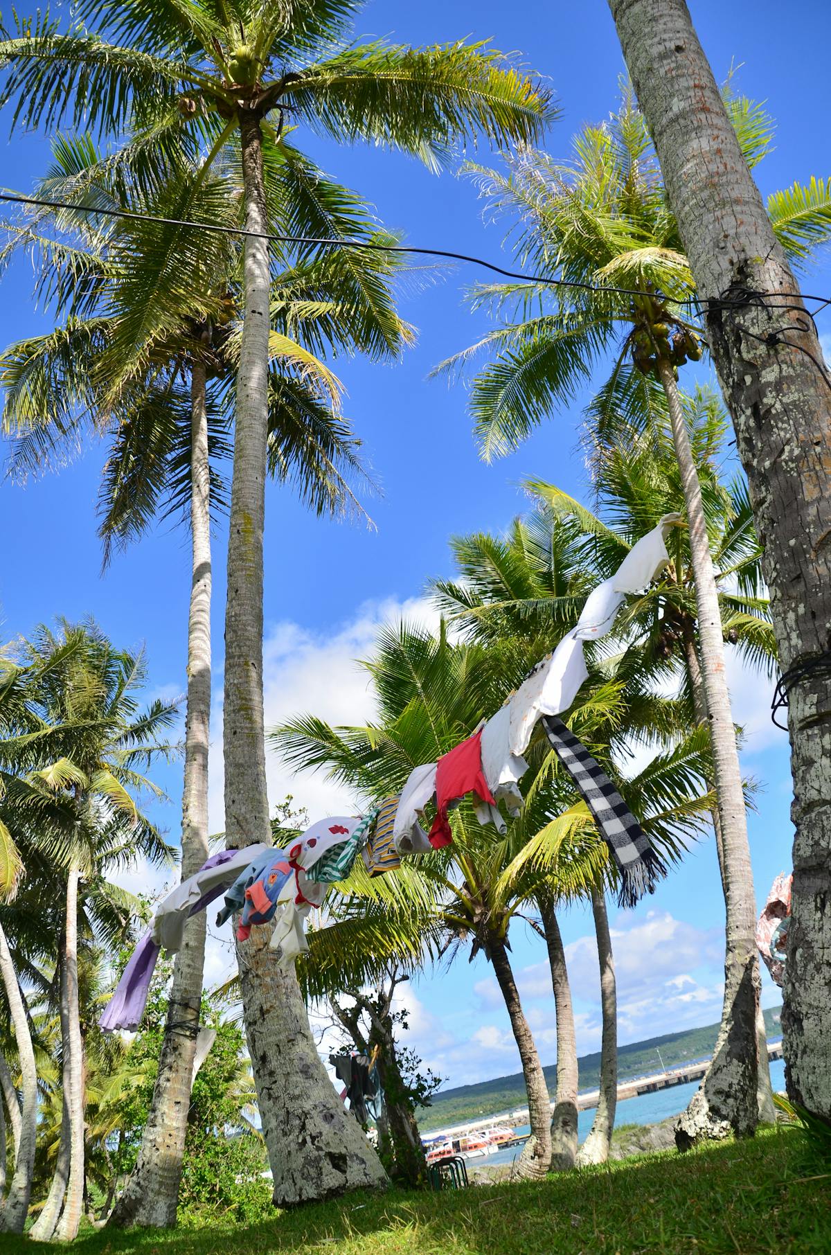 Cast and crew in a dimly lit gothic hallway symbolizing ensemble in a vampire movie