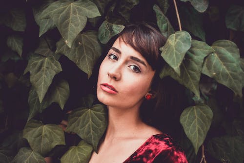 Woman Wearing Red Top Behind Green Leafed Plants