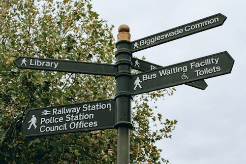 From below poled signpost placed near lush green tree and showing direction to city facilities in daylight