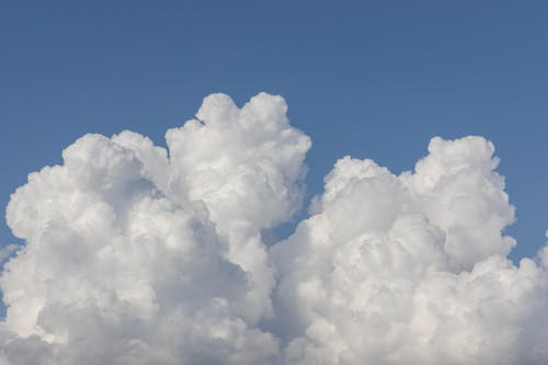 Foto profissional grátis de céu azul, fofo, inchado