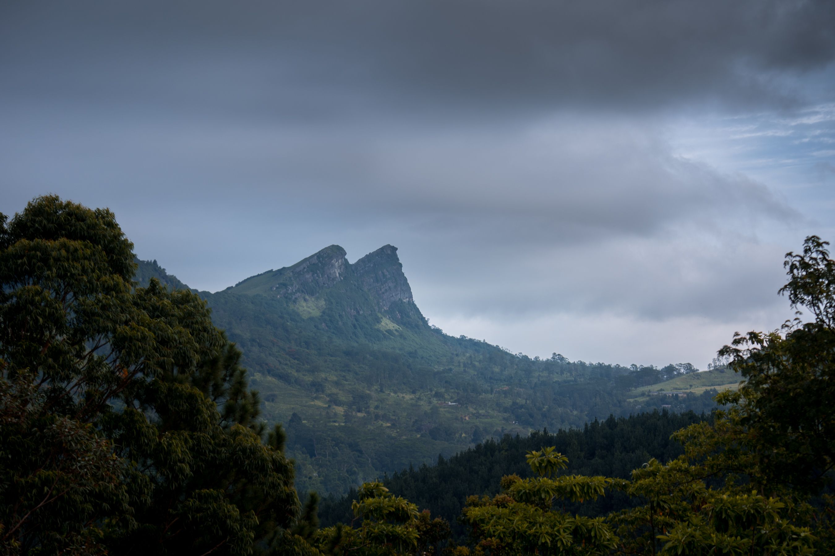 Te Roto o Rarotonga (Cross-Island Track)
