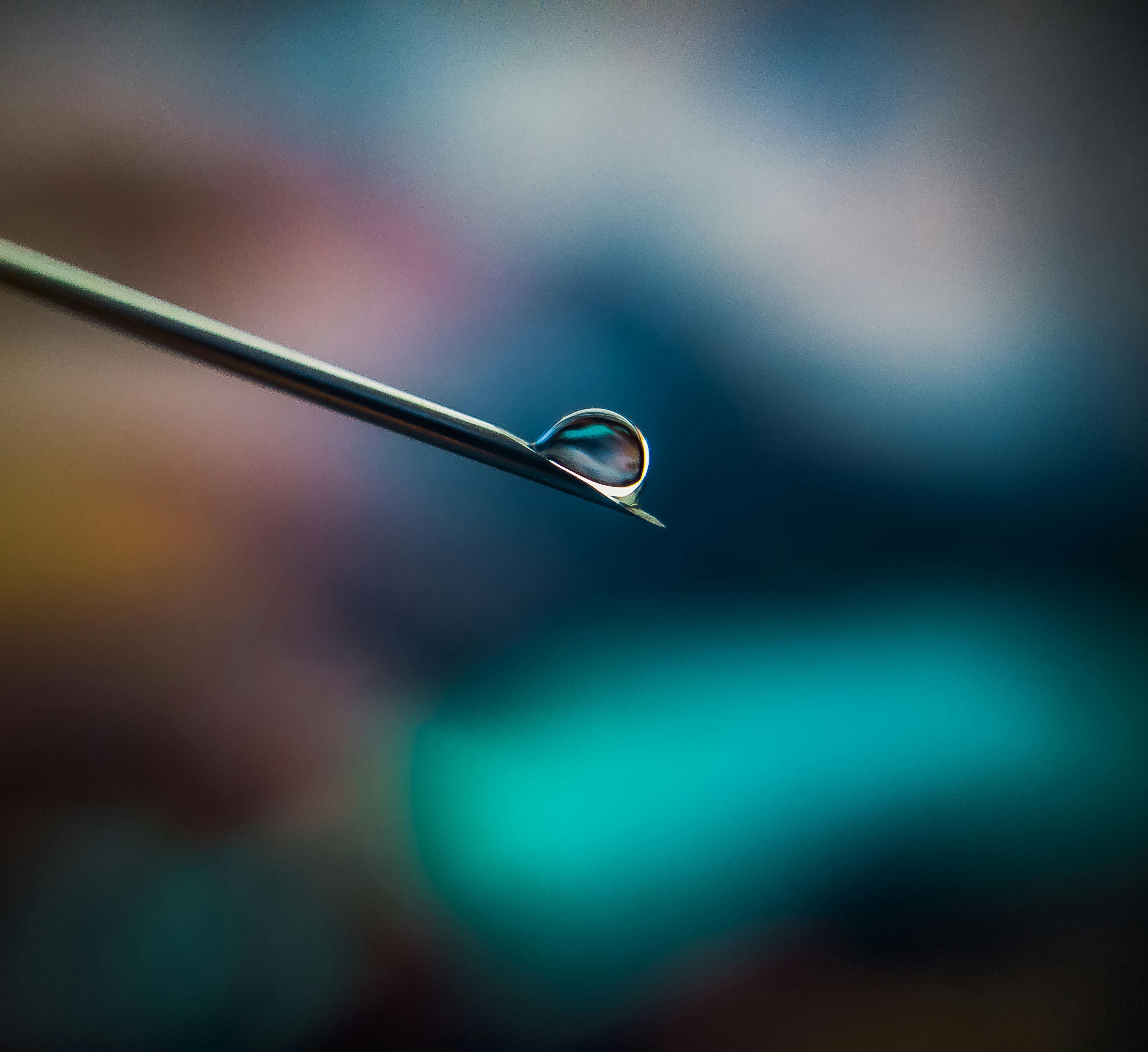 Close-up image showing a dew droplet balancing on a needle tip, highlighting macro photography.
