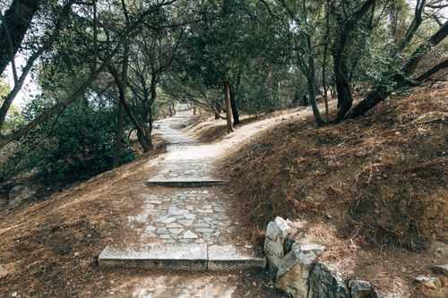 Free A tranquil stone pathway through a lush forest in Athens, Greece, showcasing natural beauty. Stock Photo