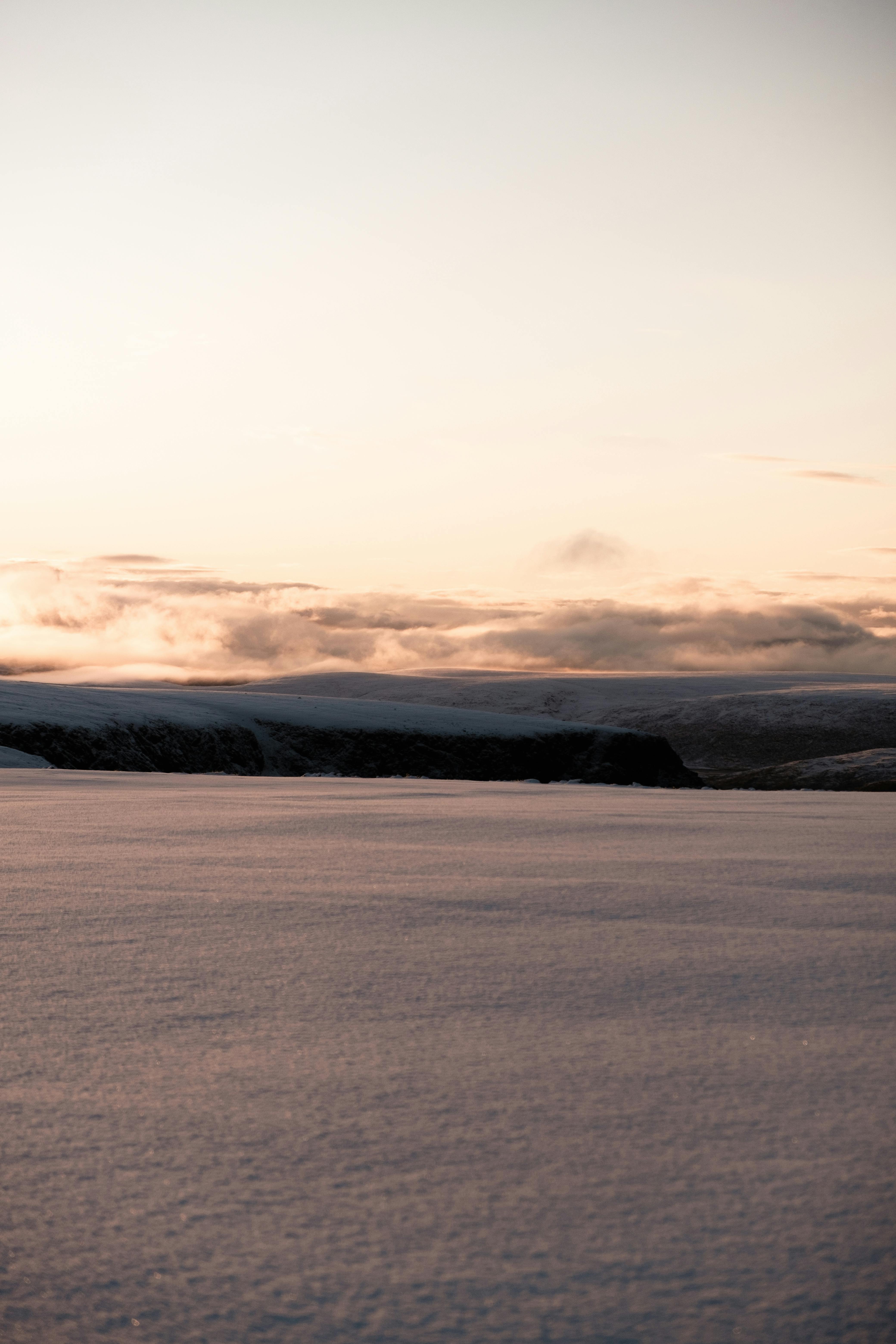 A wide shot of a vast, open Arctic landscape with low-lying Crowberry bushes covering the ground, under a dramatic sky.