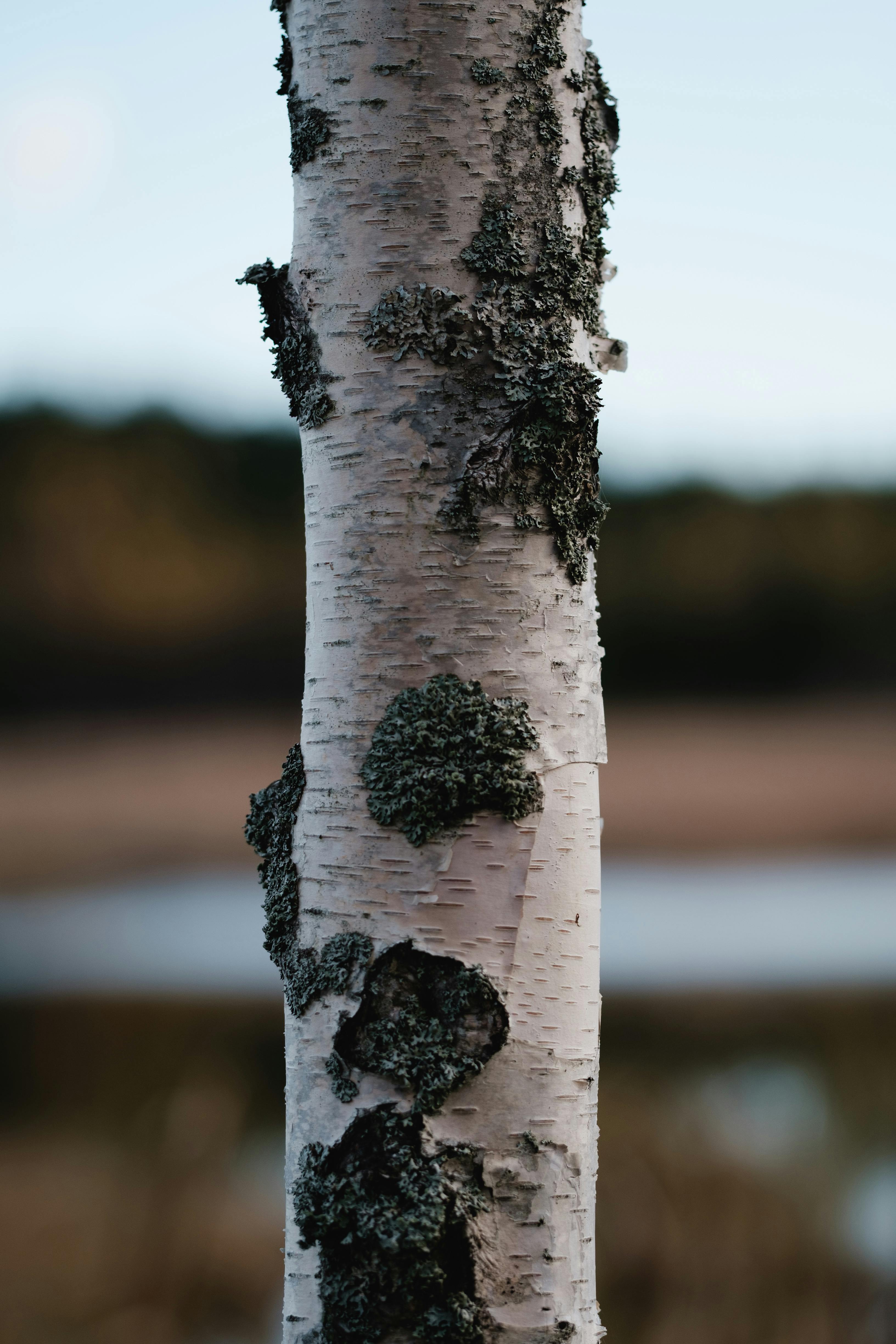 オンラインインターンで『その他大勢』で終わらないための3つのコツ