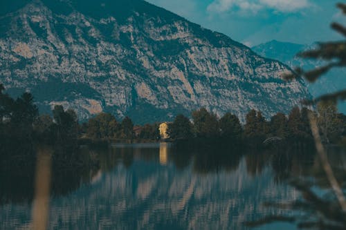 açık hava, ağaç, armoni içeren Ücretsiz stok fotoğraf