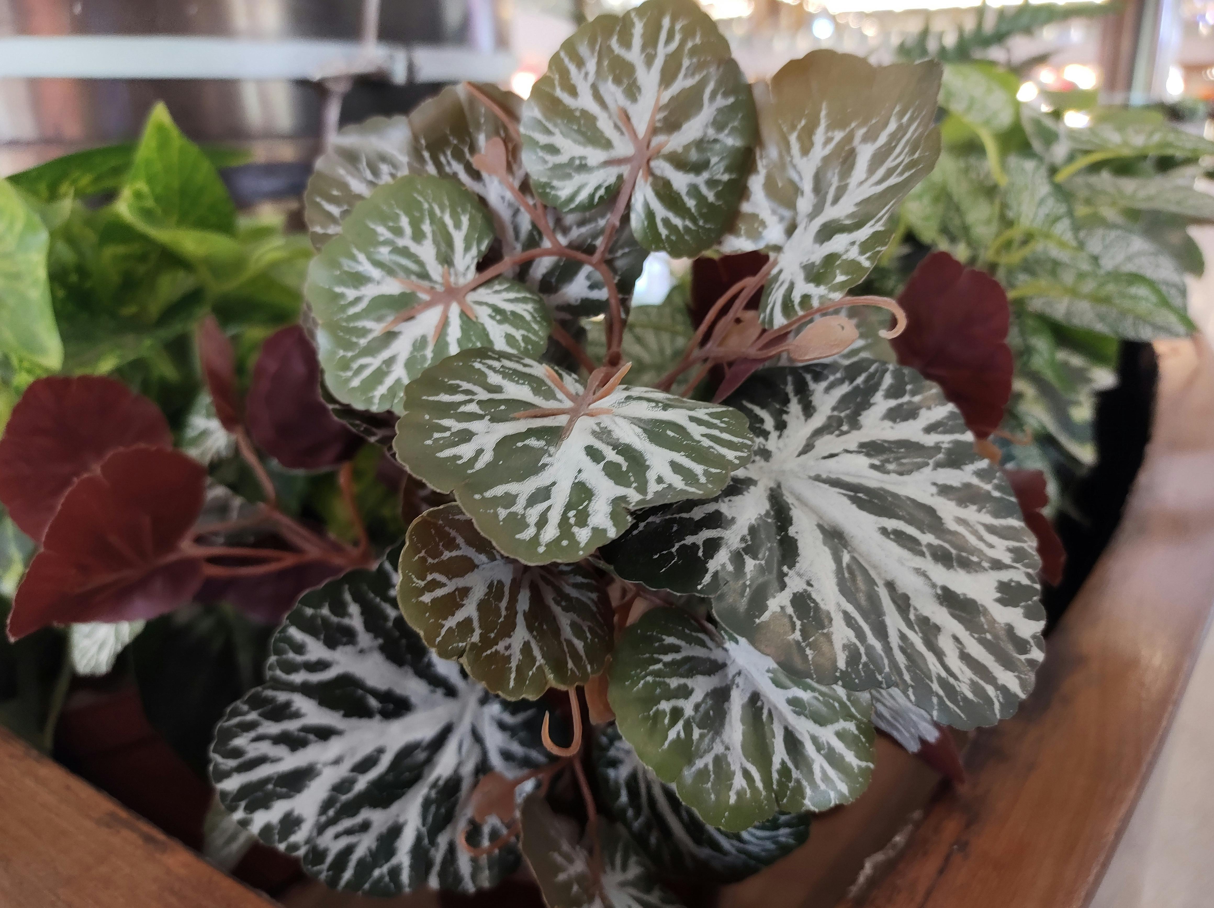 A person looking out a window with a skeptical or disappointed expression, representing the fan community's reaction.