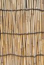 Wooden bamboo background with arranged long thin stalks of wood tied with ropes on fence of rustic construction with uneven surface