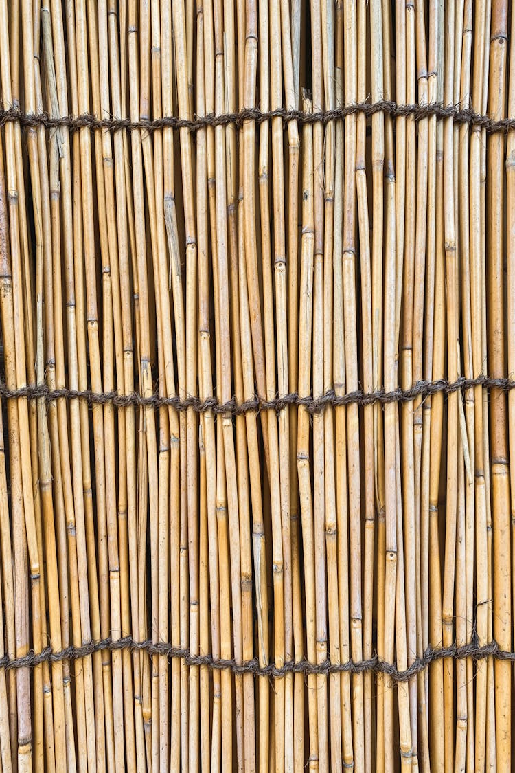 Background Of Thin Bamboo Stalks