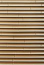 Bamboo wall with round stalks