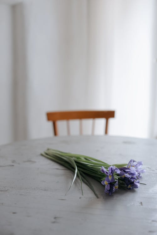 Flores Moradas En Mesa Blanca