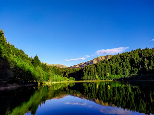 Бесплатное стоковое фото с голубое небо, горы, деревья