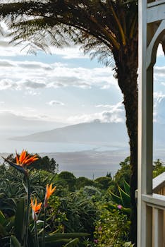 Idyllic view of mountains and ocean from a tropical garden porch.