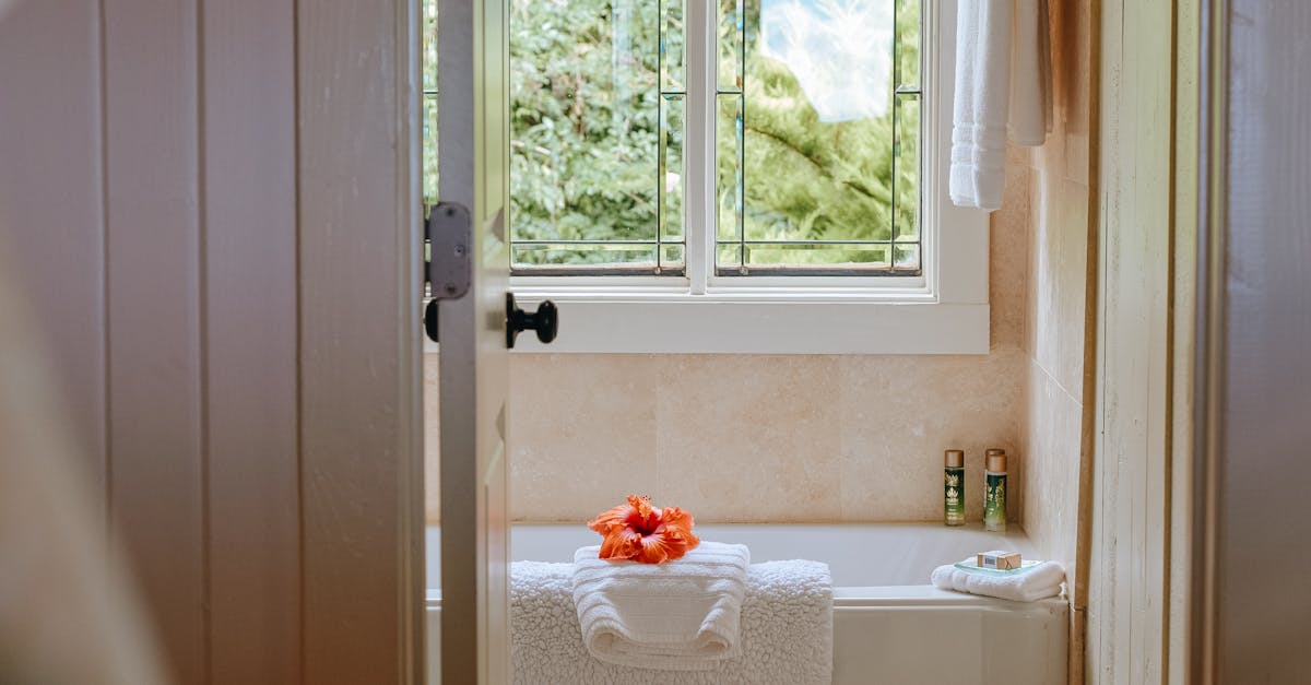 Clean light bathroom with window with view of green plants placed near bath in modern resort hotel
