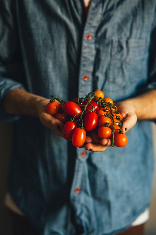Person Holding a Bunch of Cherry Tomatoes