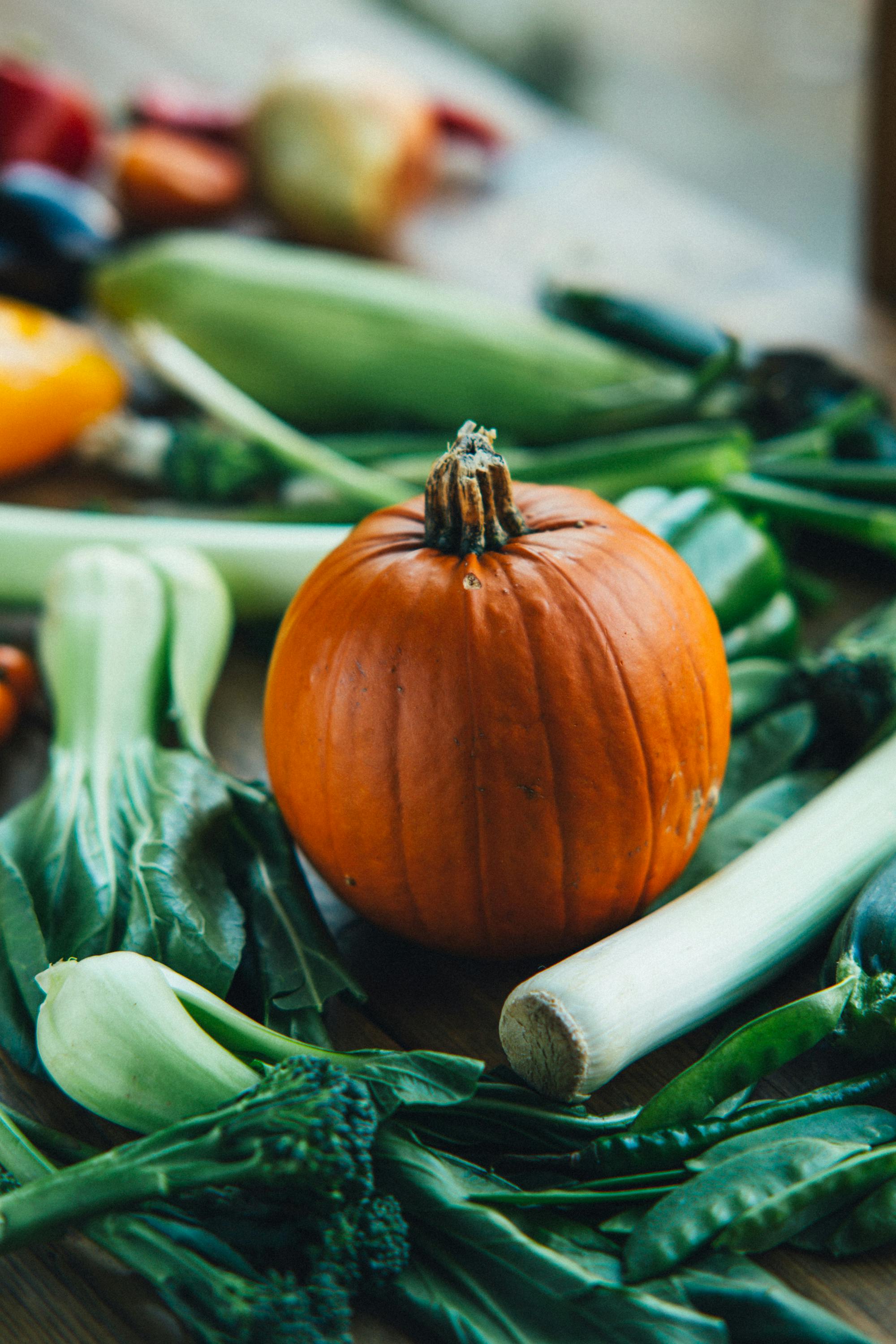 Turban squash Stock Photos, Royalty Free Turban squash Images |  Depositphotos