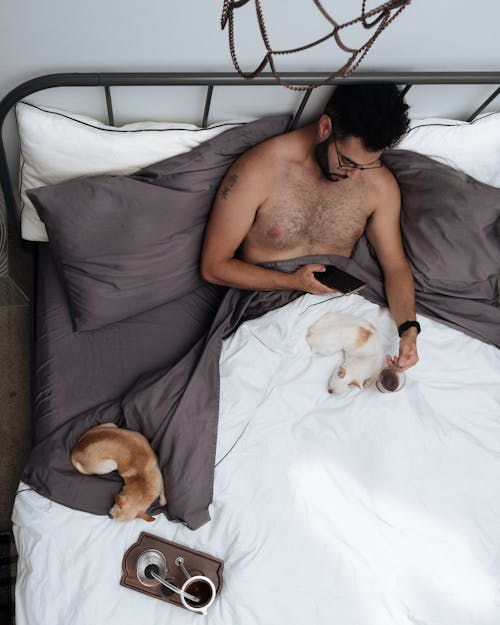 From above of young slim ethnic shirtless male with beard and hair on chest browsing smartphone while resting on bed under blanket with small cute dogs