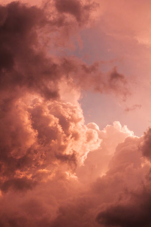夕焼けの空に素晴らしいピンクの雲