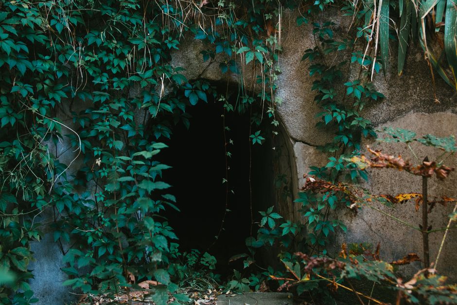 half|secret entrance