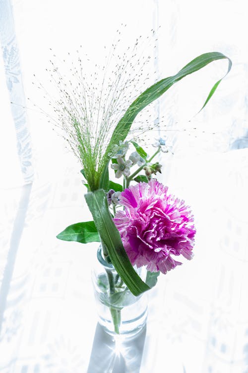 Gratis Fotos de stock gratuitas de arreglo floral, decoración, flor lila Foto de stock