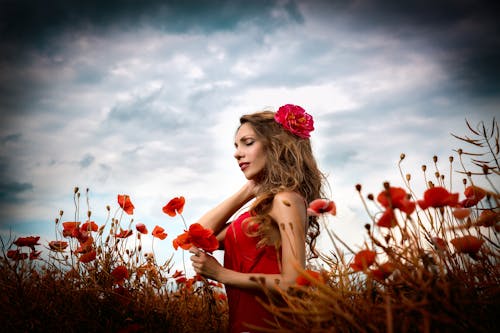 Foto d'estoc gratuïta de bonic, cabells rossos, camp de flors