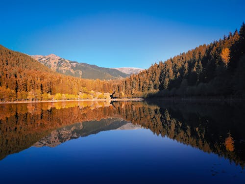 Fotobanka s bezplatnými fotkami na tému horské jazero, hory, jazero