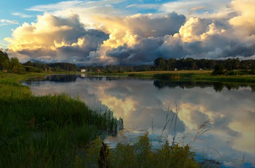 A Green Grass Field Near the Lake Under the White Clouds