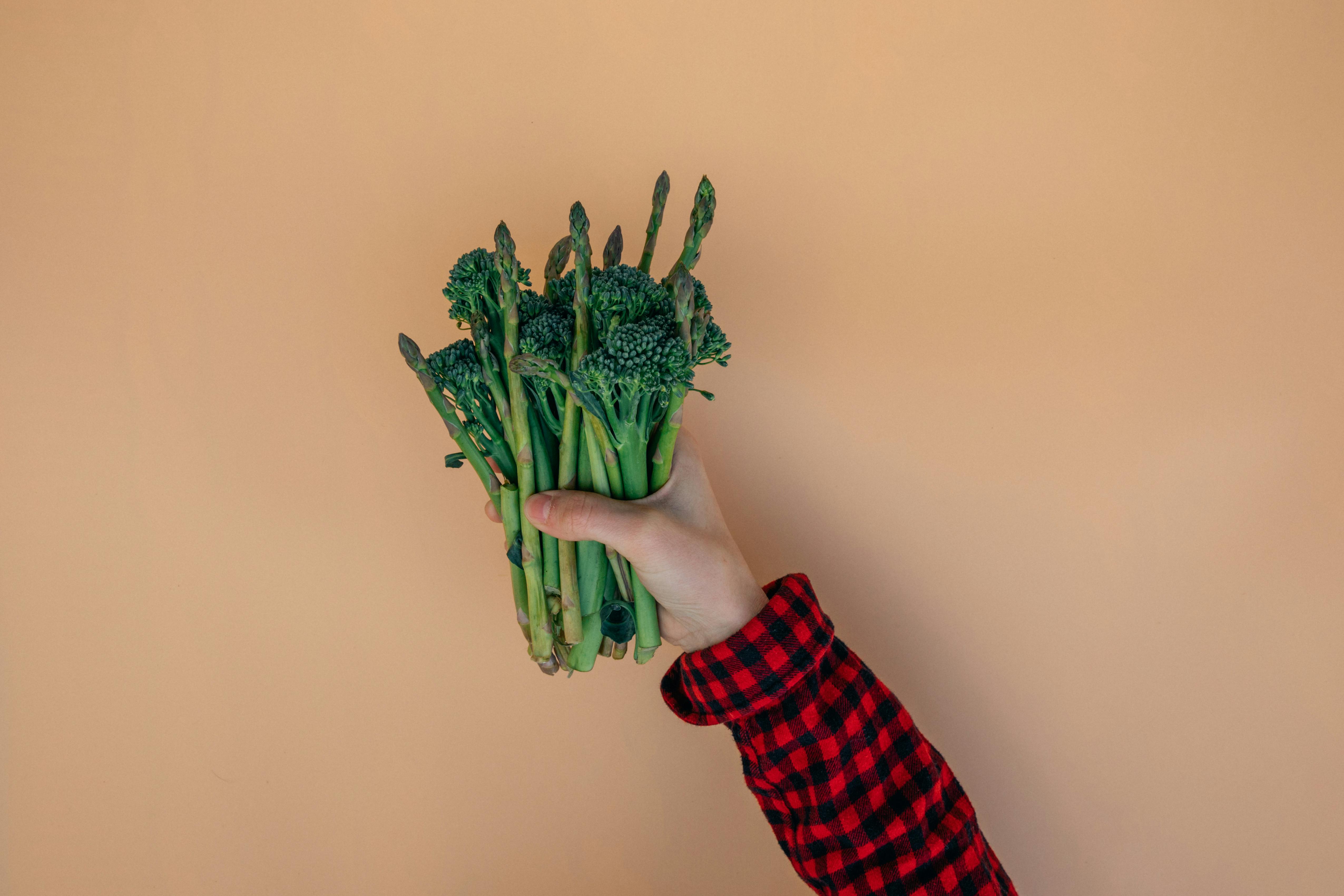 A hand in a plaid shirt holds a bunch of fresh asparagus and broccoli against a solid background.