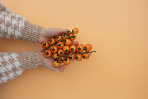 A Person Holding a Cherry Tomatoes