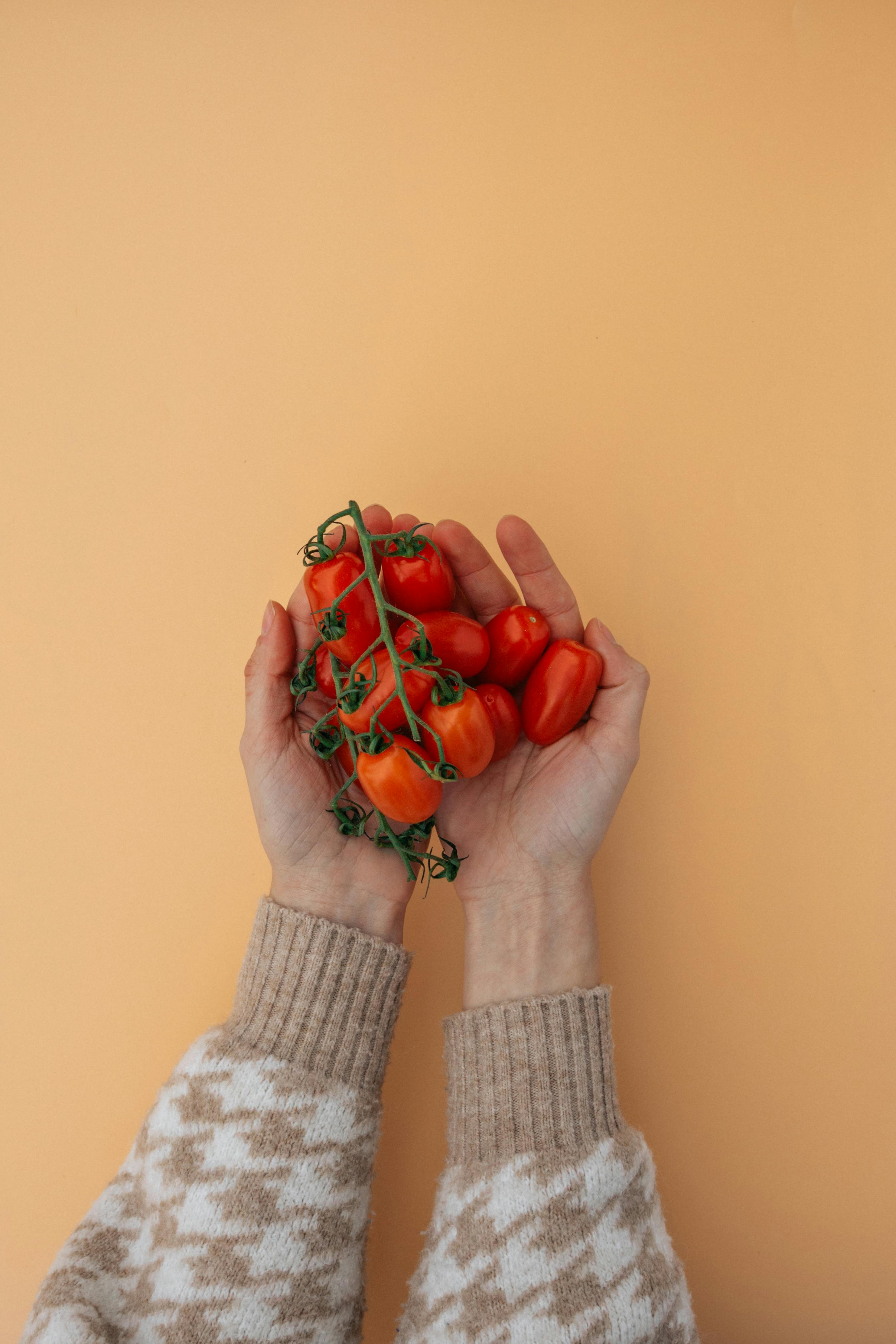 Close-up of hands holding fresh tomatoes against a neutral background, perfect for health and food themes.
