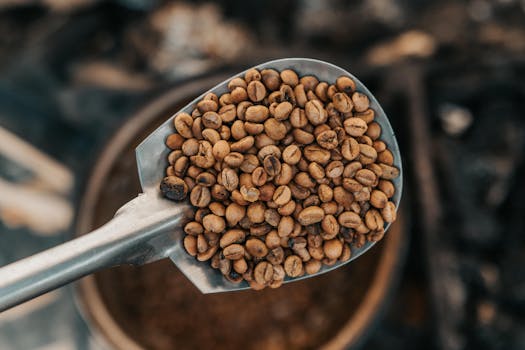 A detailed view of roasted coffee beans on a metal scoop, perfect for food and beverage themes.