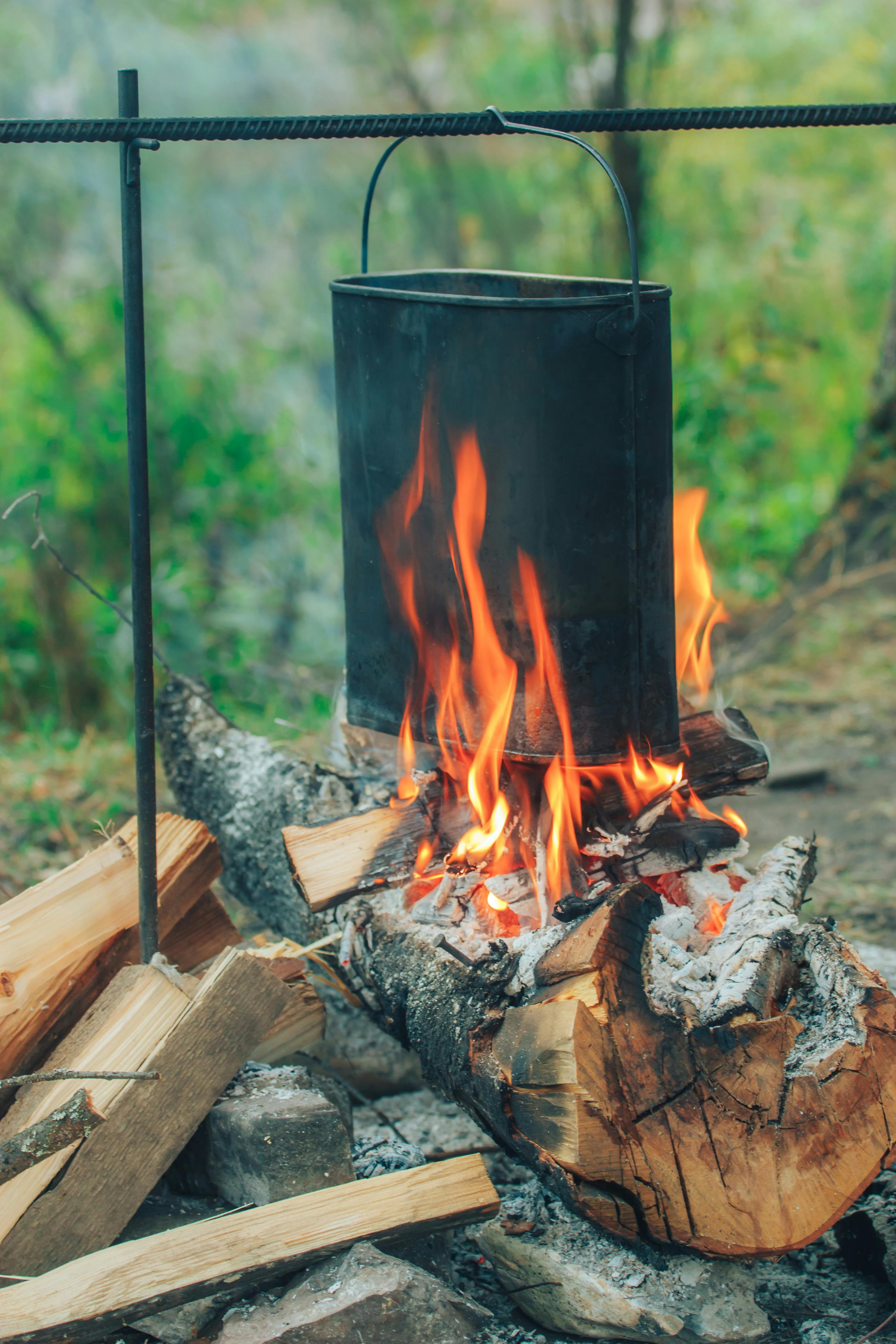 Burning Wood on Fire Pit · Free Stock Photo