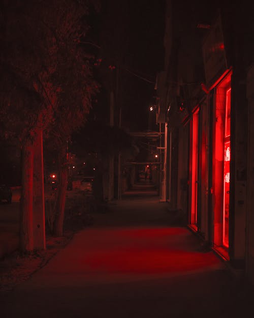 Exterior of contemporary street with urban structures against trees and road at night