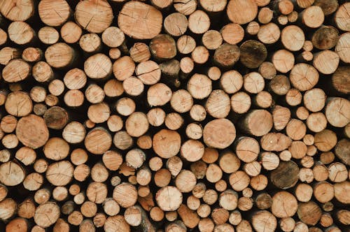 Free Piled Up Wood Logs  Stock Photo