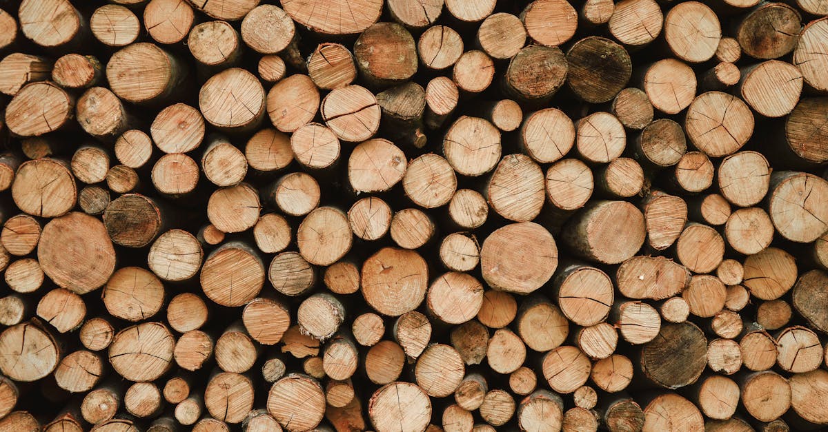 如何選擇MUJI熱銷木質生活好物?4款必備推薦!