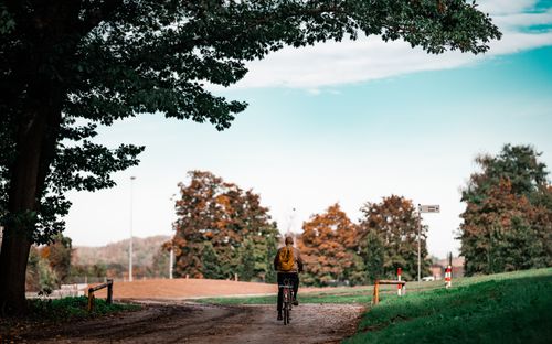 Free A lone cyclist rides through a picturesque rural path surrounded by autumn trees. Stock Photo