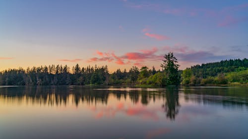 Scenic View of Trees near the Lake