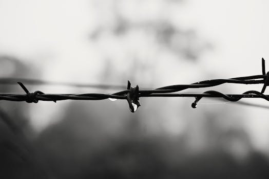 铁丝网单色特写，带有露珠，突出纹理和对比度