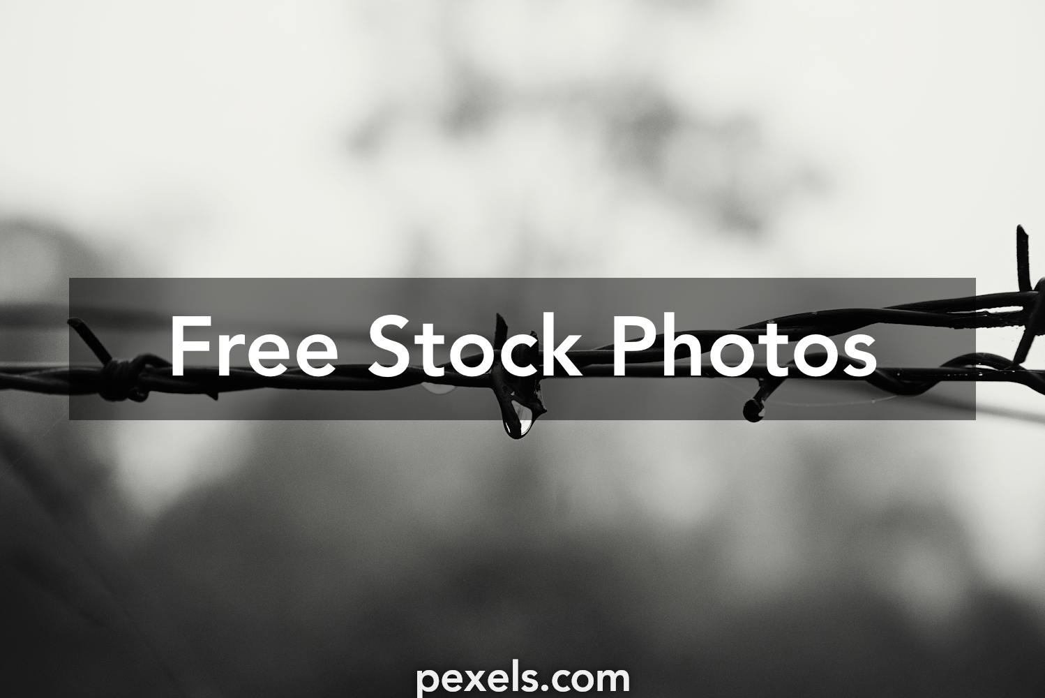 21,100+ Metal Spikes Stock Photos, Pictures & Royalty-Free Images