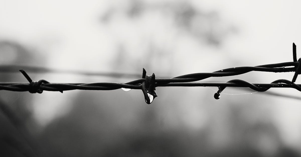 Free stock photo of barbed wire, black and white, country