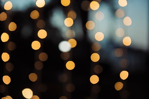 Free Bokeh Photography Stock Photo