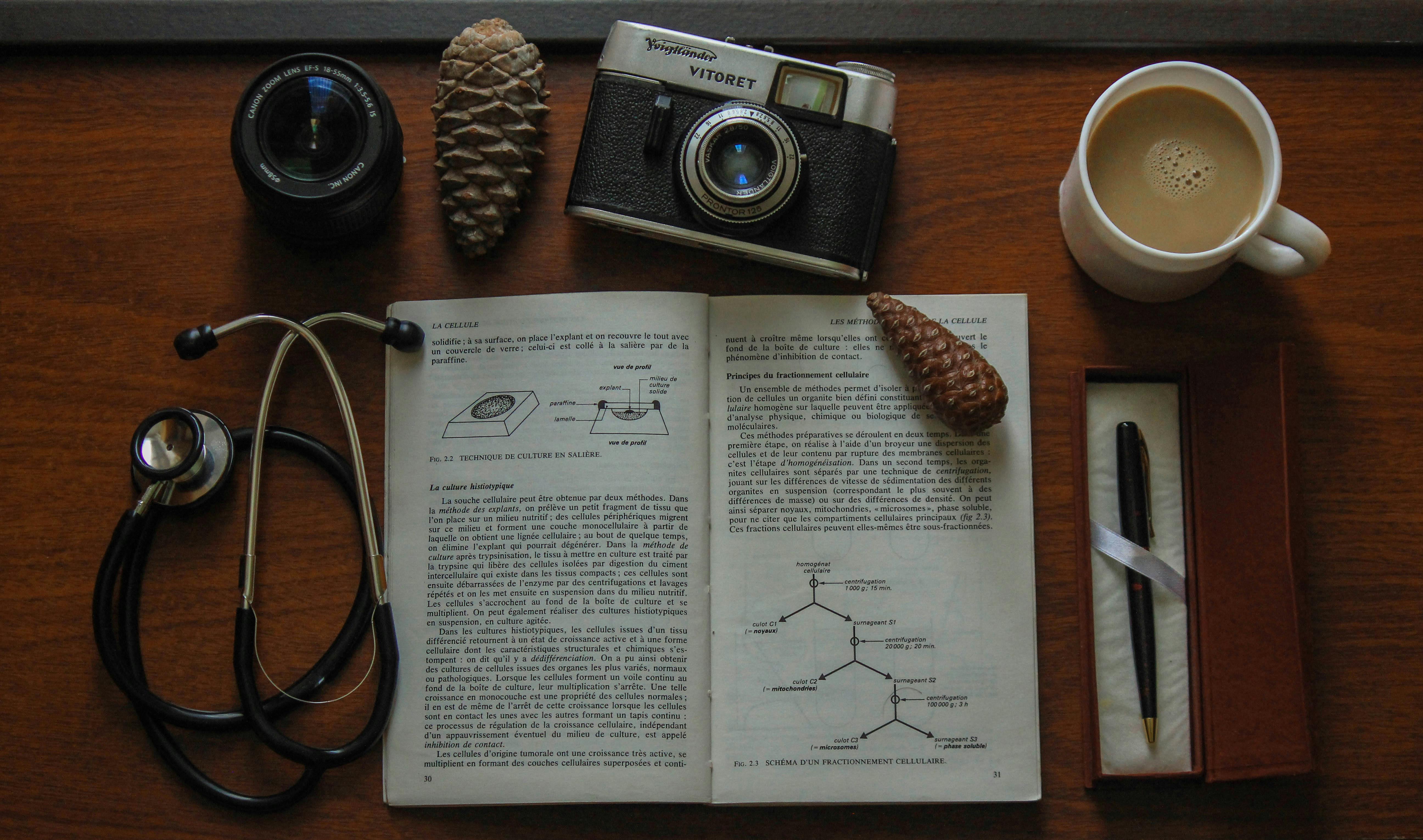 åæ¬, åå¡, åå¡æ¯ ç åè´¹ç´&nbsp;æå¾ç