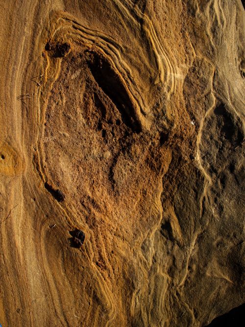 Free Detailed close-up shot of arid rocky surface with unique texture patterns and earthy tones. Stock Photo