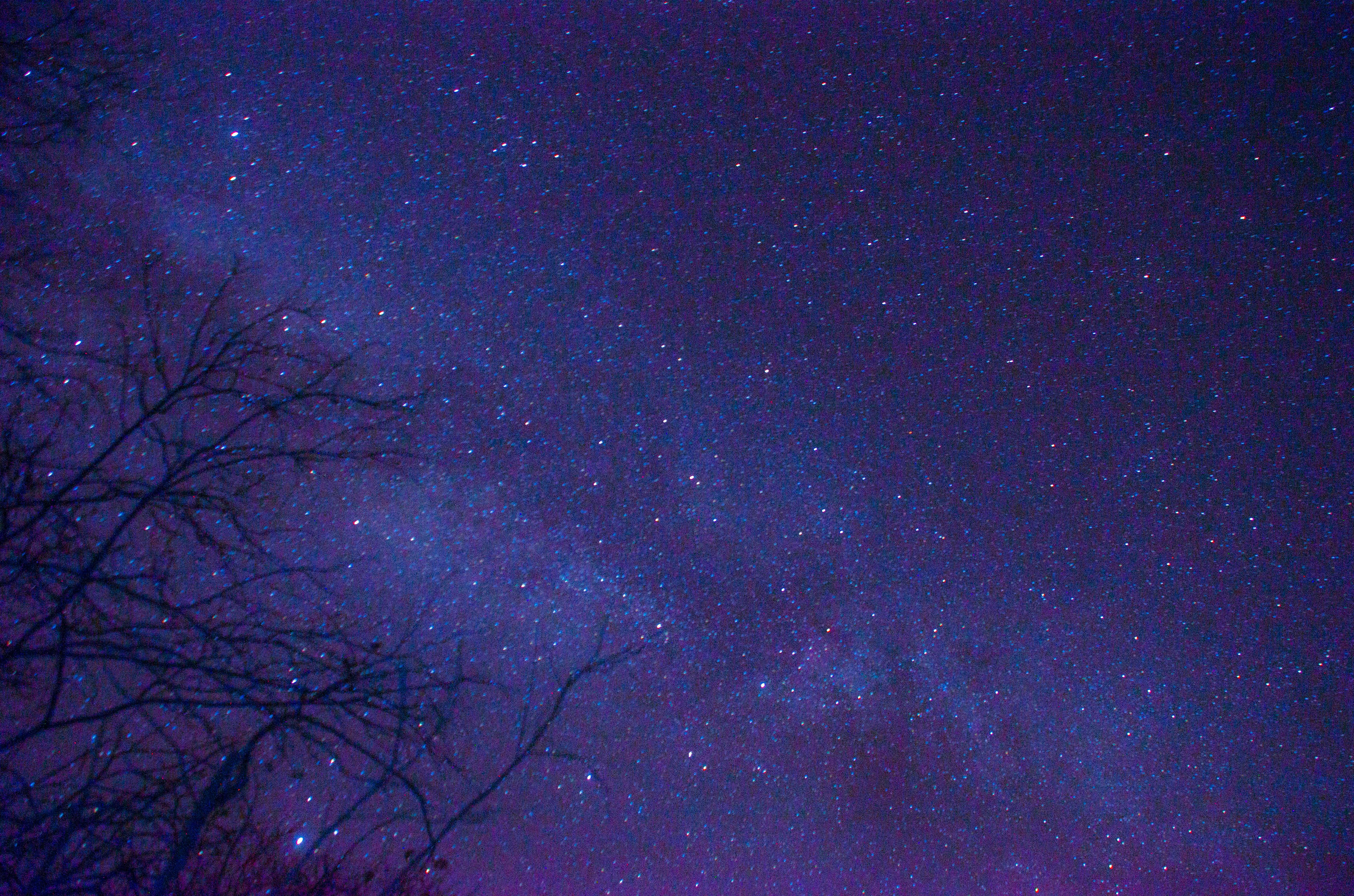 夜 星 星座の無料の写真素材 夜 星 星座の無料の写真素材