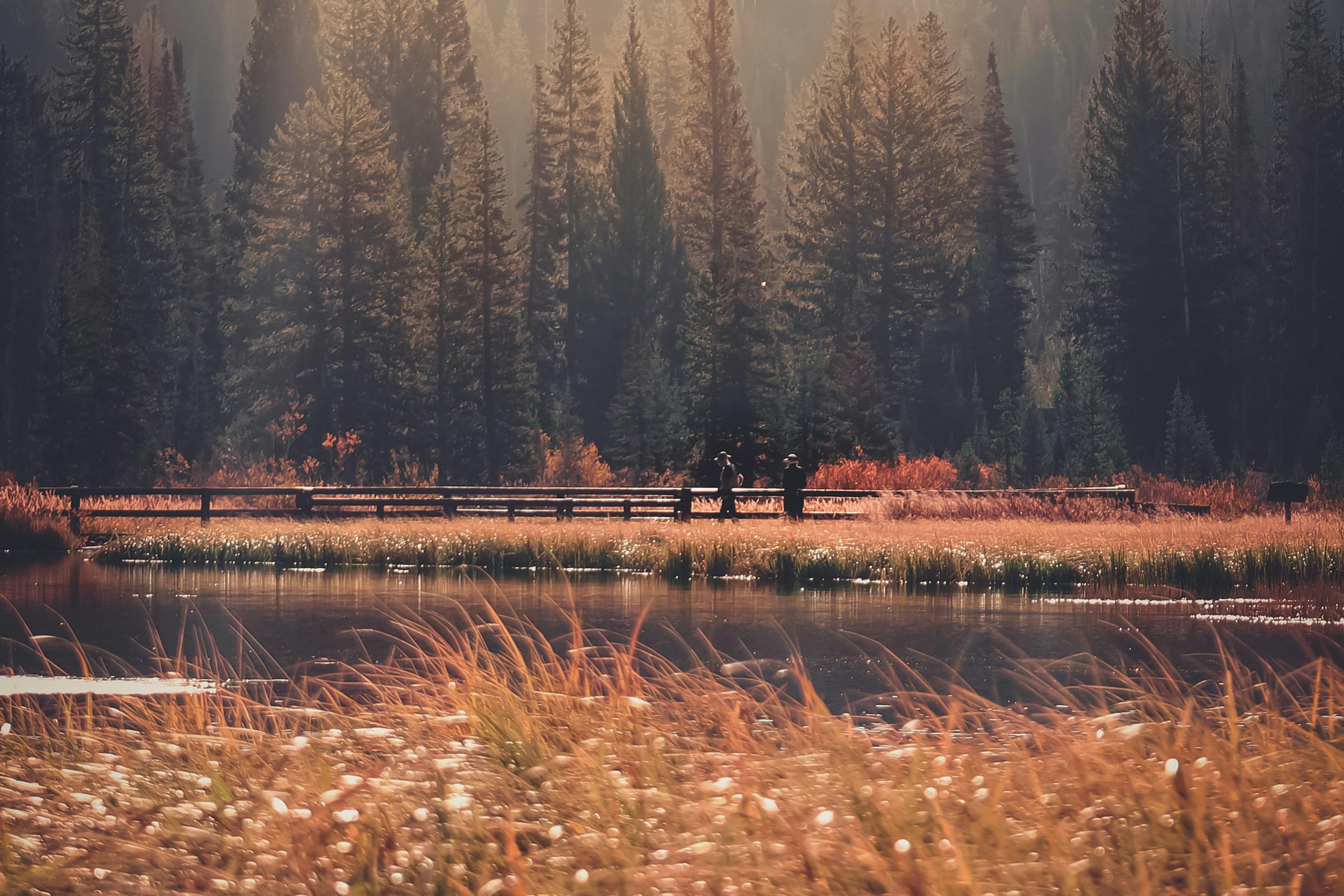 Hempstead State Lake Park: Discover Hidden Gems and Adventure Trails 1 Explore 7 Must-See Hidden Gems at Hempstead State Lake Park for Nature Lovers